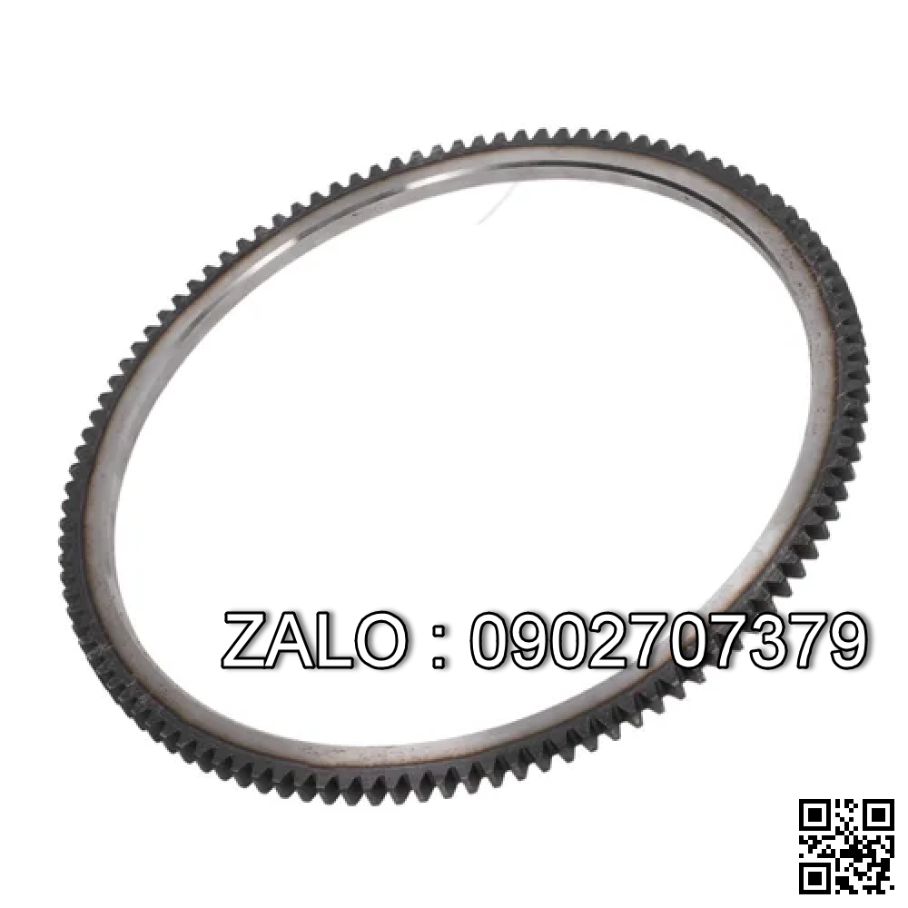 GEAR-RING 132 TEETH 220025002