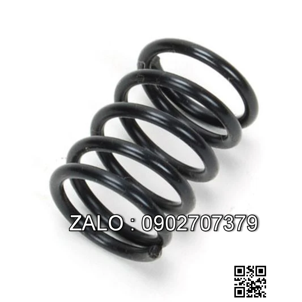 SPRING-SHOE HOLD DOWN 220016199