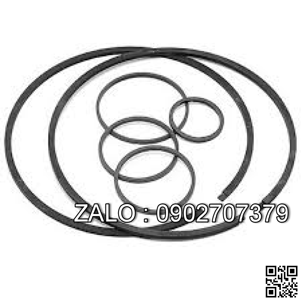 TRANS REPAIR KIT 31010-L1525