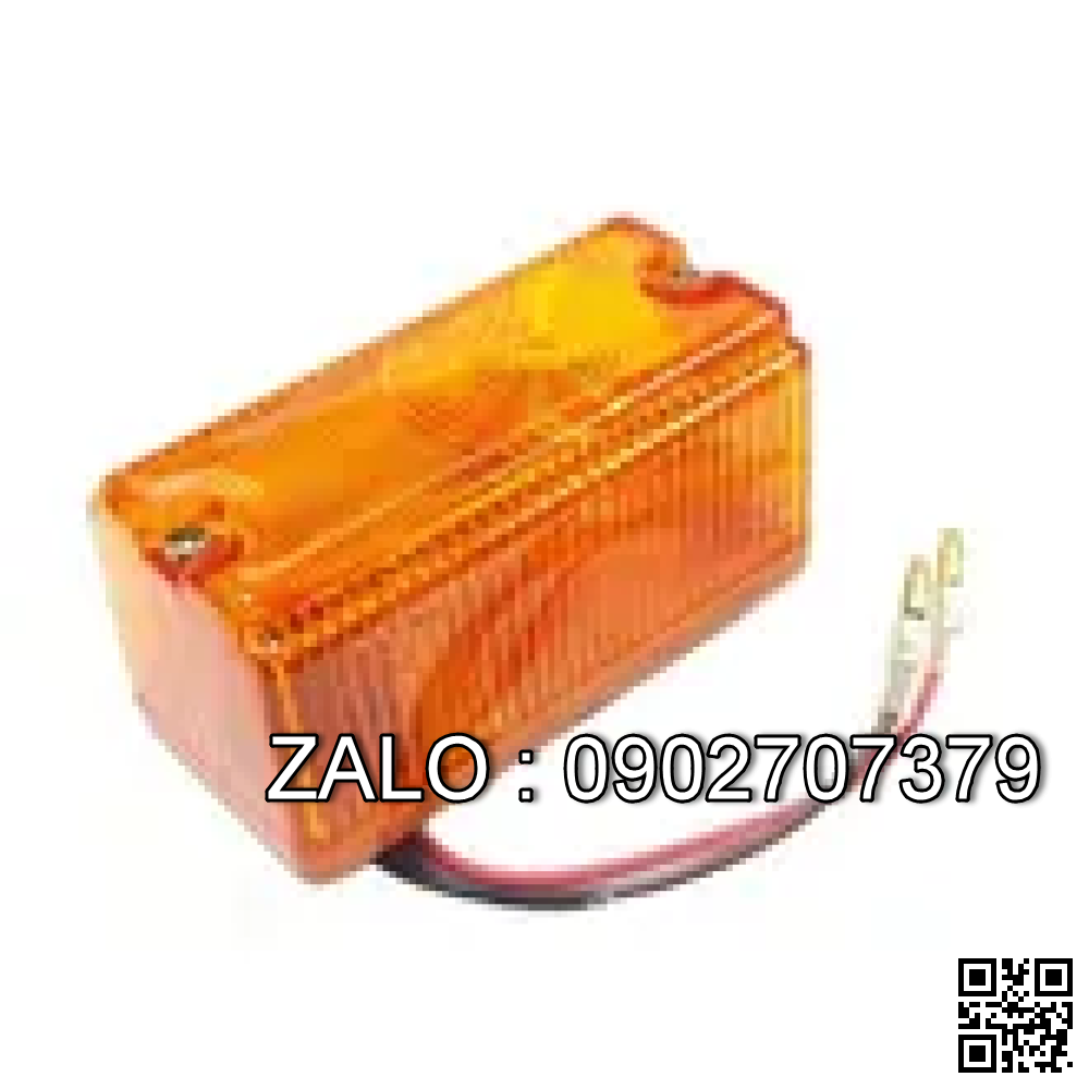 Xi nhan trước 12V
