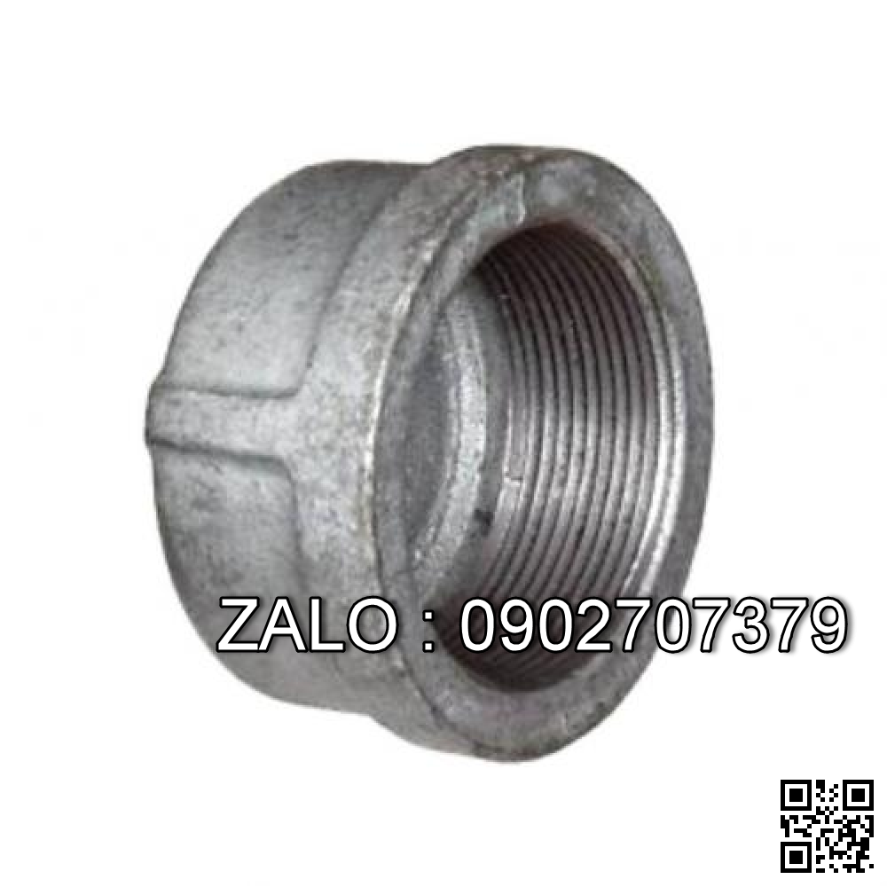 Nút bịt ren trong Inox 304 DN50