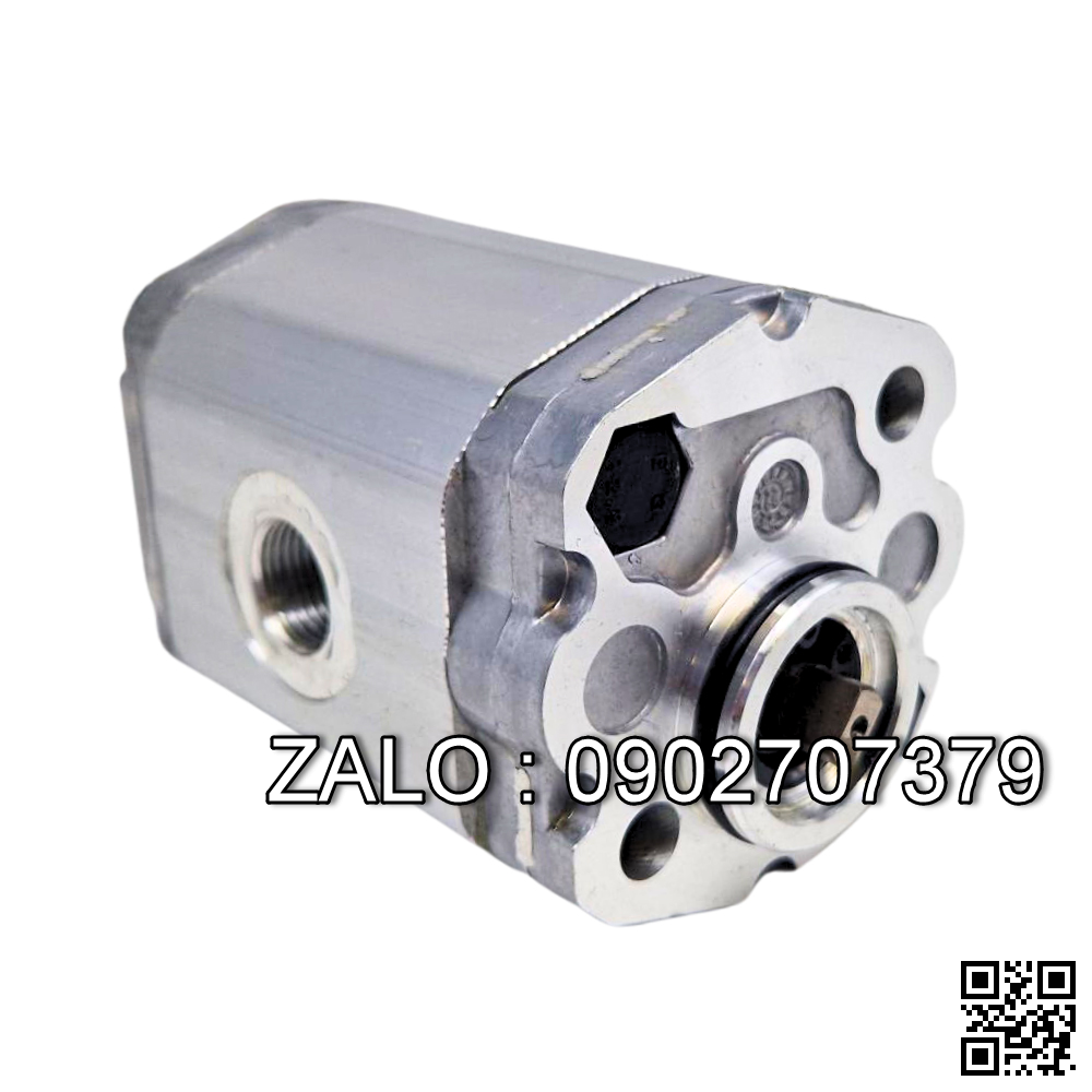 Bơm thủy lực VD1-30FA321-06-F , 