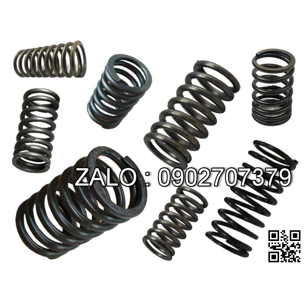 Lò xo xúpap xe nâng HANGCHA 490BPG,A490BPG,C490BPG,495BPG,A495BPG,498B