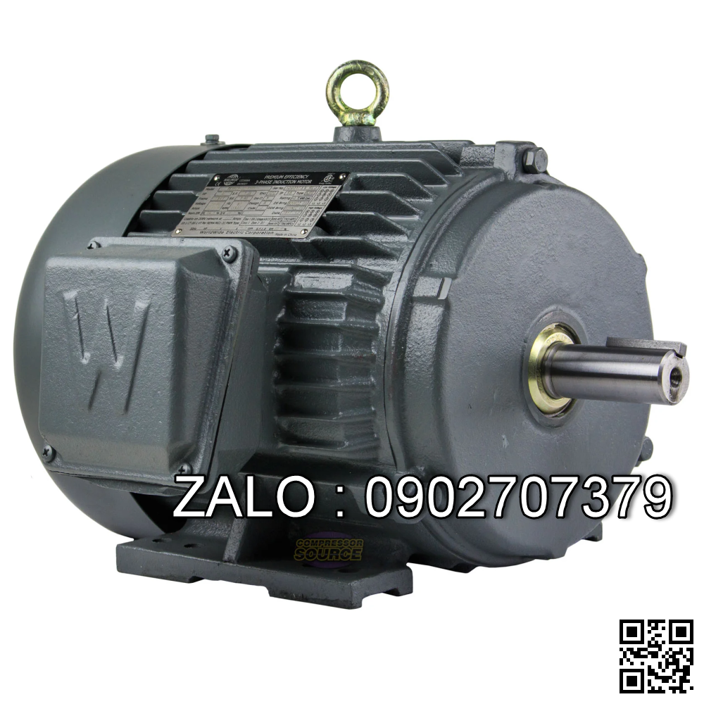 Motor điện 1 pha 3KW - 4HP 2 cực điện