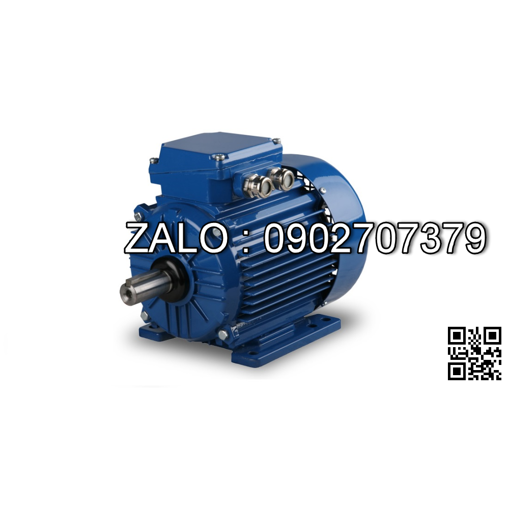 Motor điện 1 pha 3.7kw - 5HP 2 cực điện