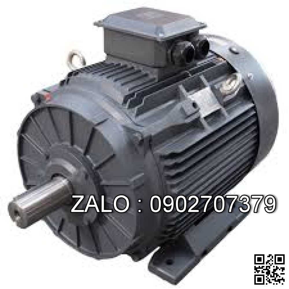 Motor điện 3 pha 0.75KW 8 cực điện