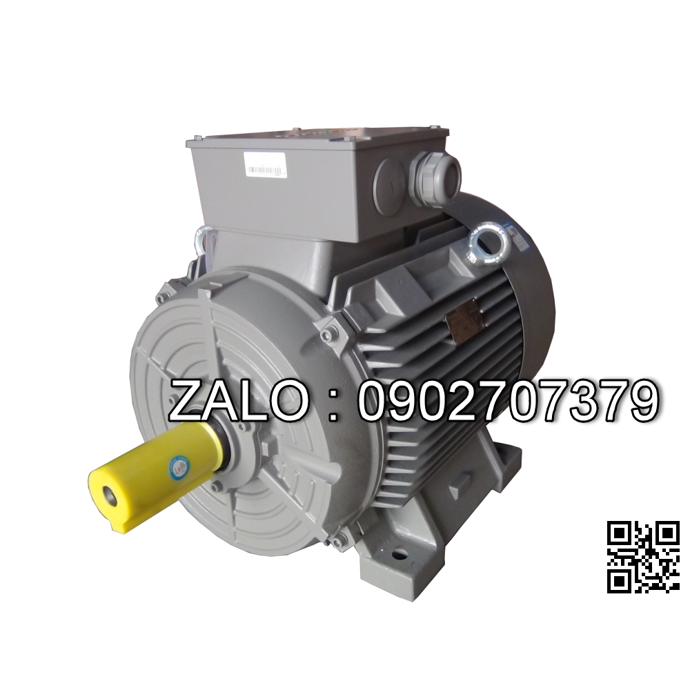 Động cơ điện Siemens 1LG4310-4AA60 110 kW, 4 cực, chân đế