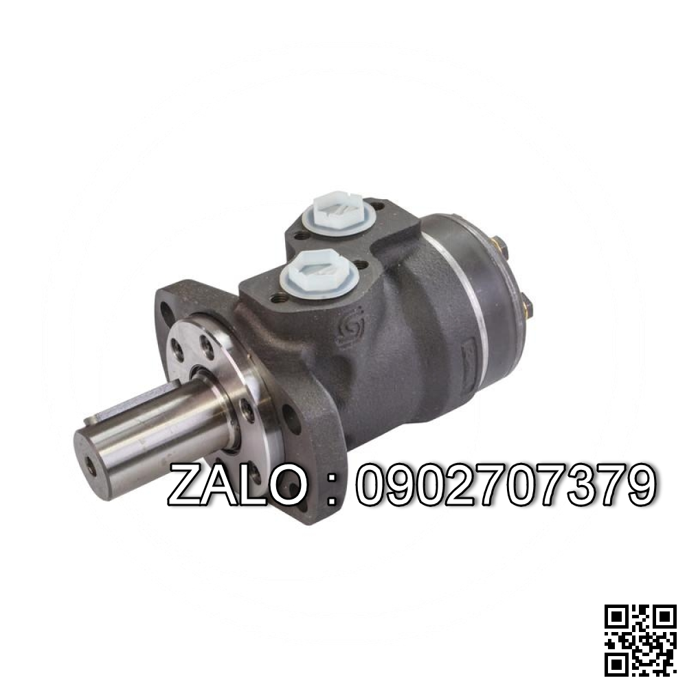 Motor thủy lực bánh răng AMG79-6