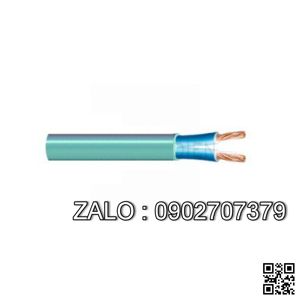CDV cáp ĐK - DVV 2x6,0 mm
