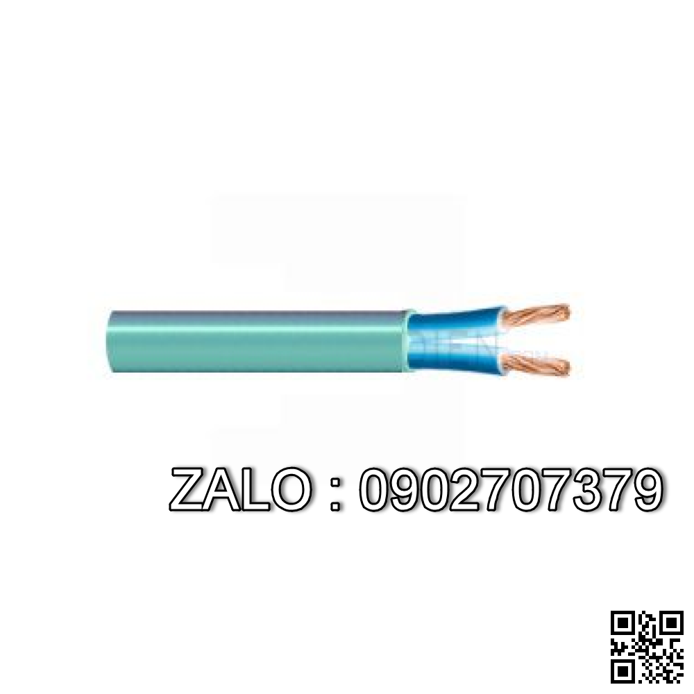 CDV cáp ĐK - DVV 2x1 mm