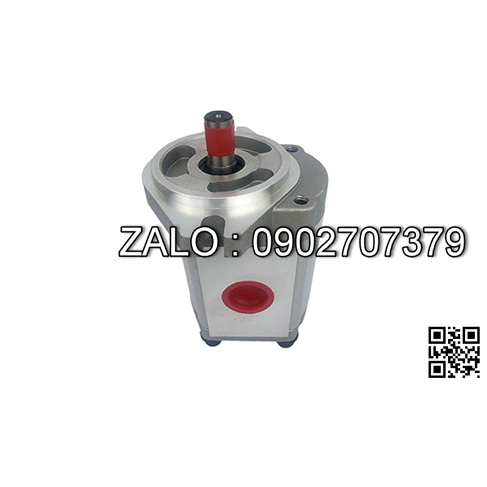 Bơm bánh răng P106RP01GT P19L26NP