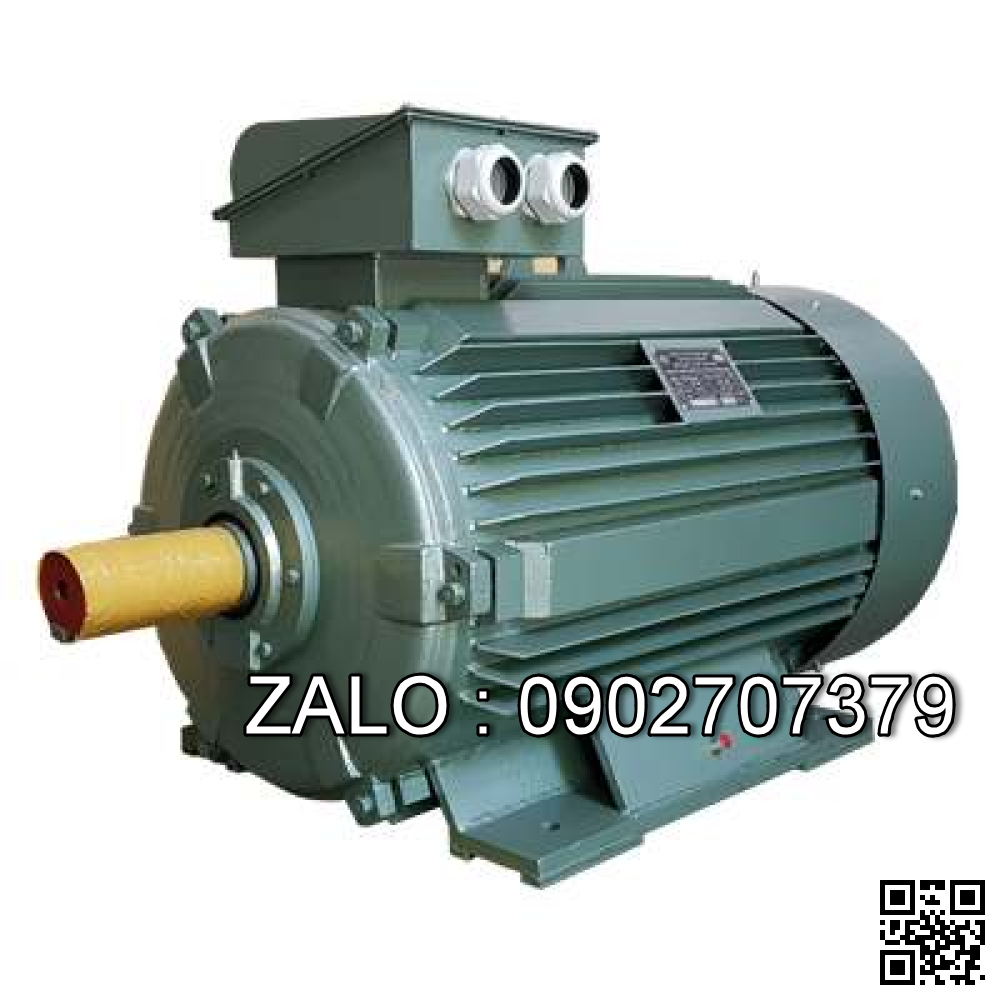 Động cơ 3000 VG/PH - Chân đế 4kw - 3 pha - 3000 vg/ph CD