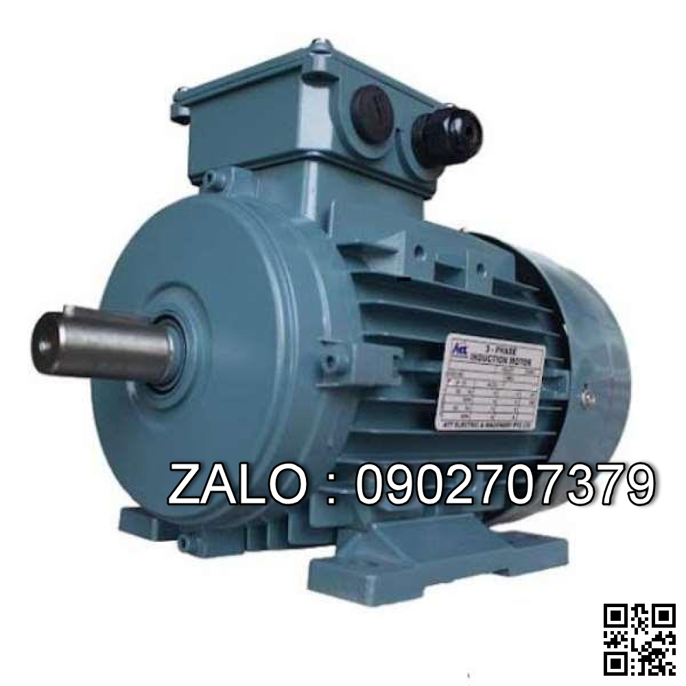 Motor chân đế 3 pha TransmaX 4kW (1500 RPM) 4 cực Vỏ gang