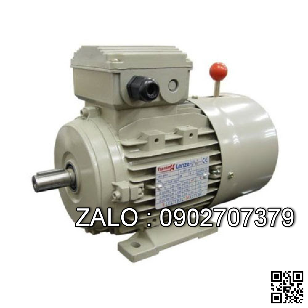 Motor mặt bích 3 pha TransmaX 4kW (1000 RPM) 6 cực Vỏ gang