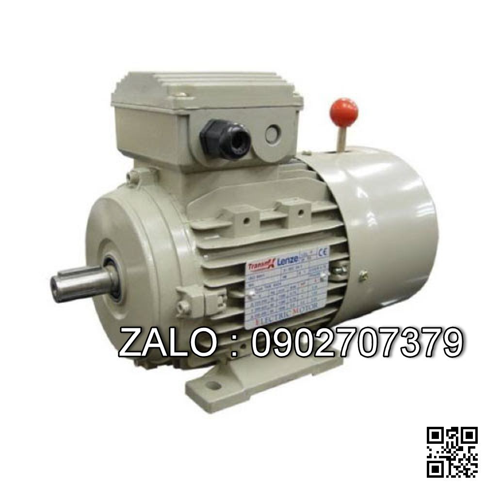 Motor mặt bích 3 pha TransmaX 110kW (1500 RPM) 4 cực Vỏ gang