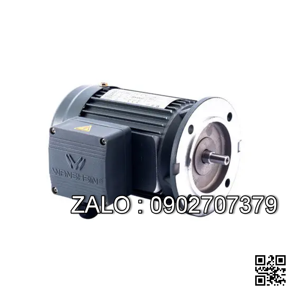 Motor giảm tốc 3 pha mặt bích Wanshsin GV22-100W-180S