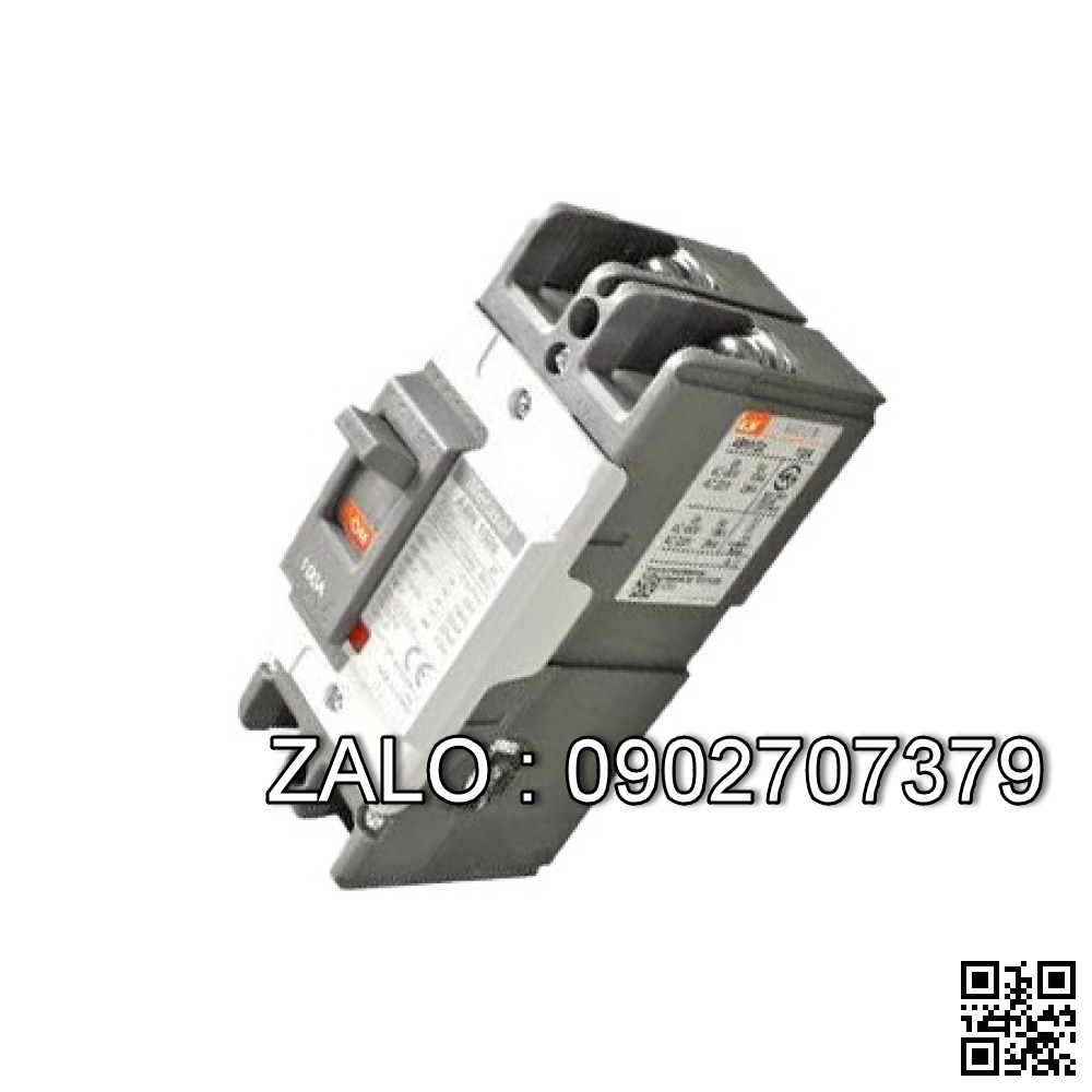 CB chống giật LS EBN202c 250A 65kA 2P 30mA