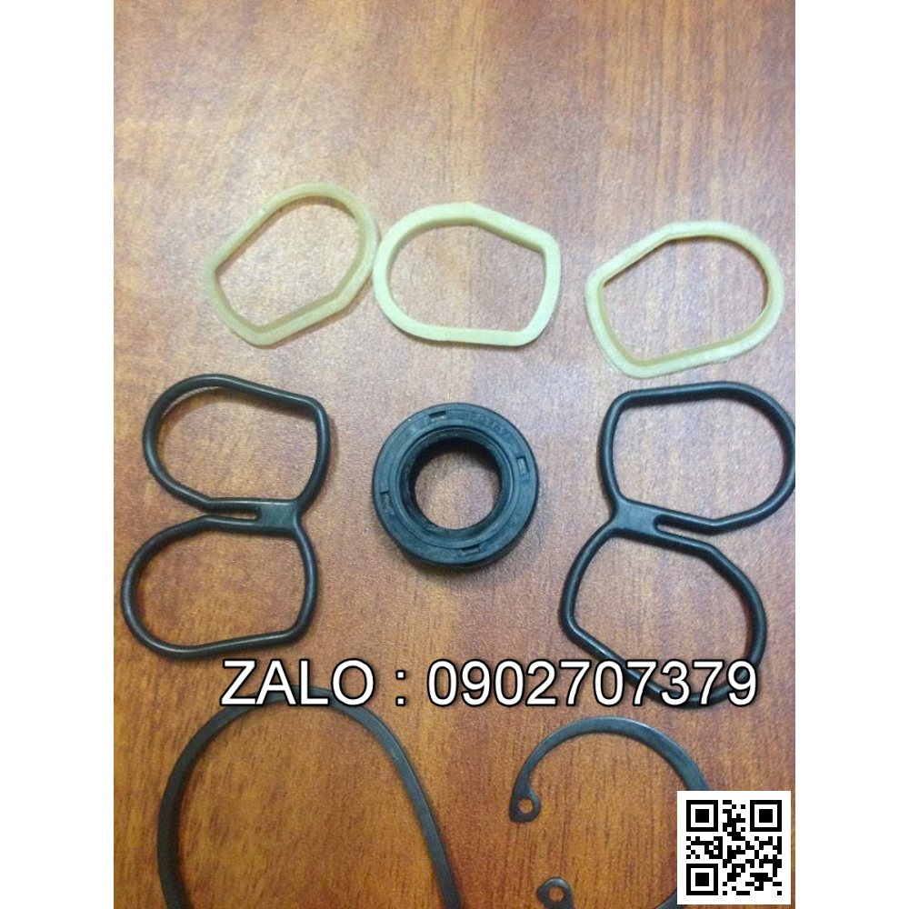 Bơm dầu thủy lực L10VS045DR/31R-PPA12N00