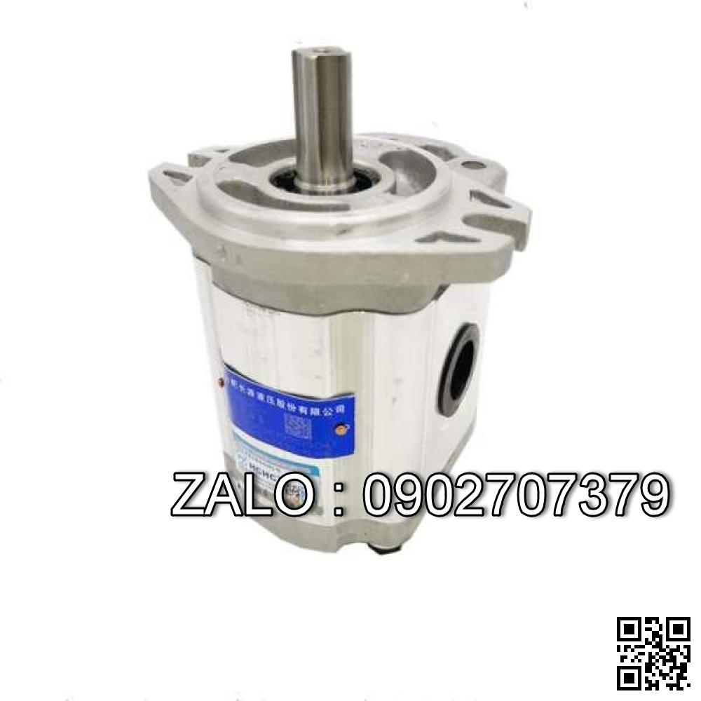 Bơm thủy lực bánh răng CBTD-F423-ALHR