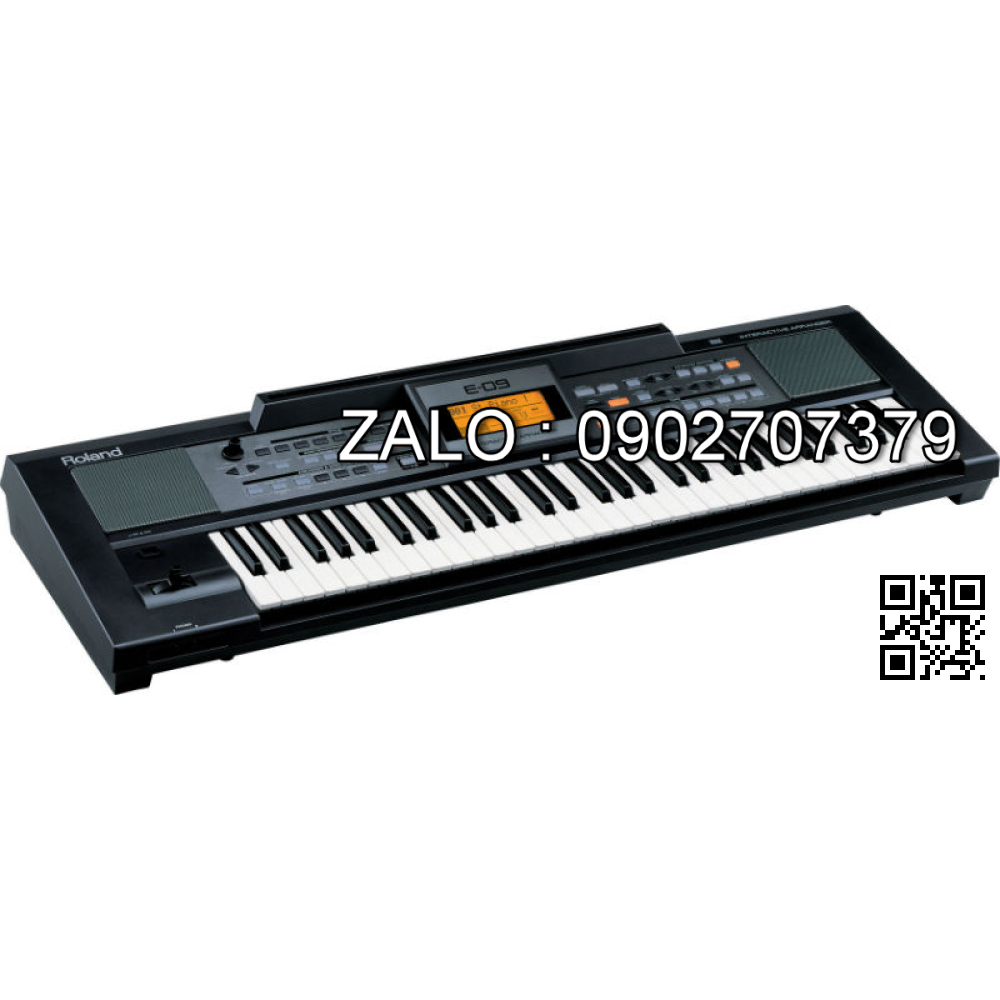 Đàn Organ Roland E-09