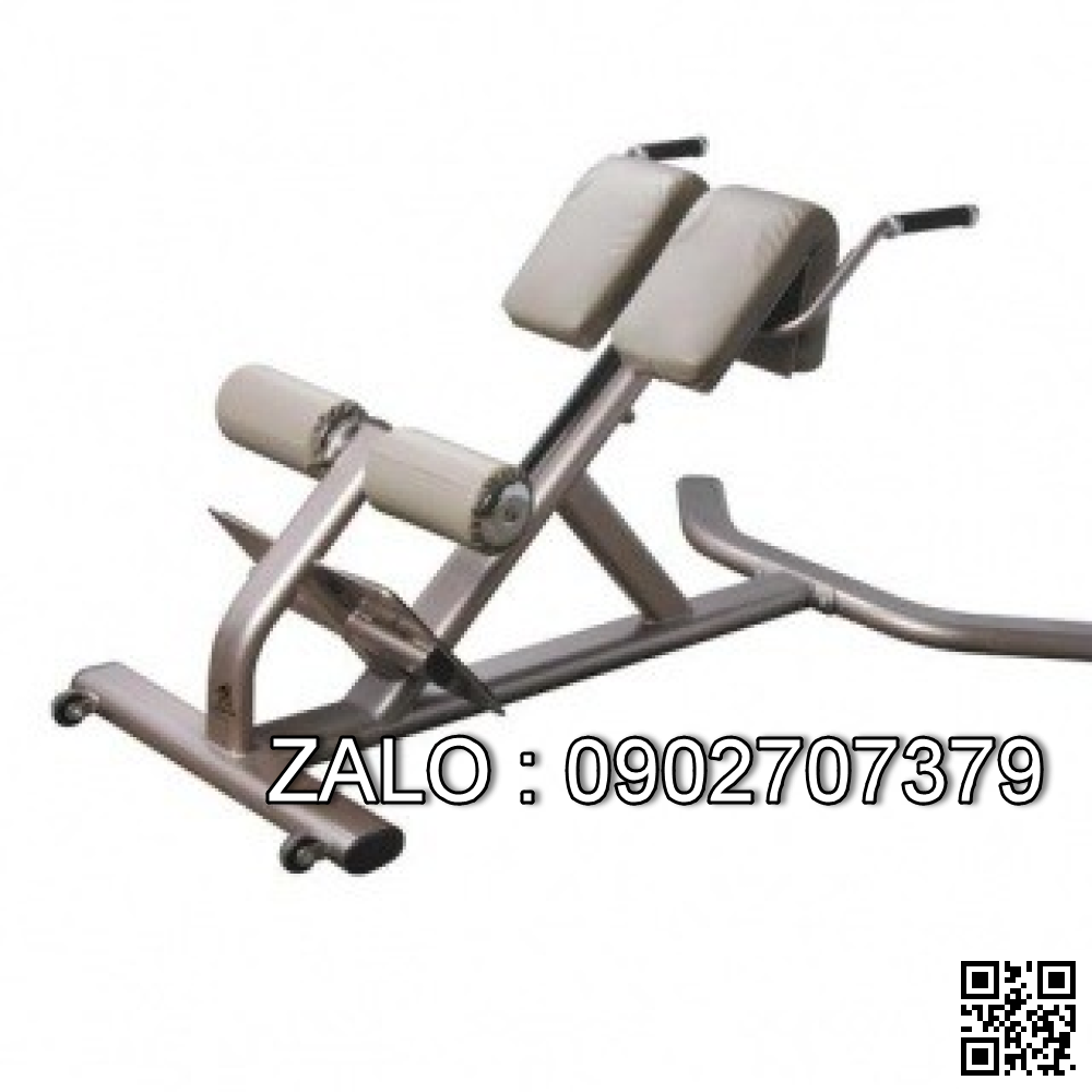 Ghế tập lưng dưới 9046