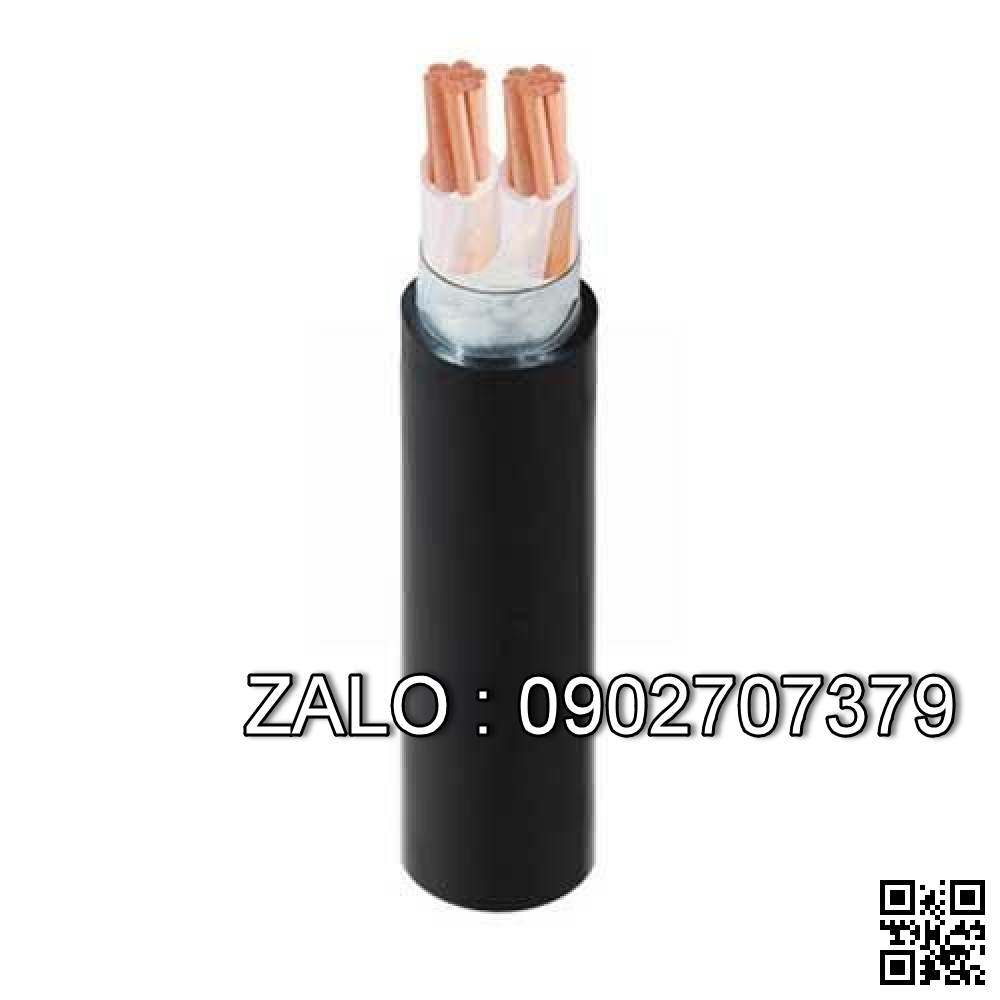 Cáp điện lực hạ thế có giáp bảo vệ - TCVN 5935 (2 lõi, ruột đồng, cách điện XLPE, giáp bằng thép bảo vệ) CXV/DSTA-2x50 (2x19/1.8) -0,6/1kV