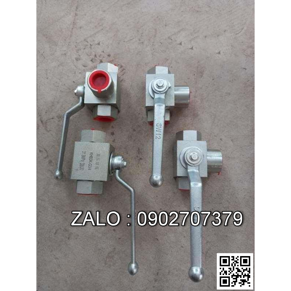 Van đảo chiều G2/2 ''