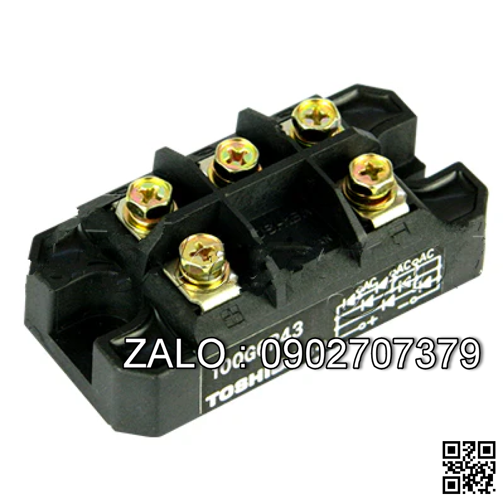 Diot sạc 100G6P43