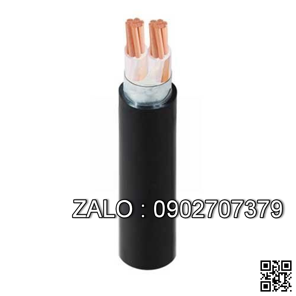 Cáp điện lực hạ thế có giáp bảo vệ (2 lõi, ruột đồng, cách điện XLPE, giáp bằng thép bảo vệ) CXV/DSTA-2x11 (2x7/1.4) -0,6/1kV