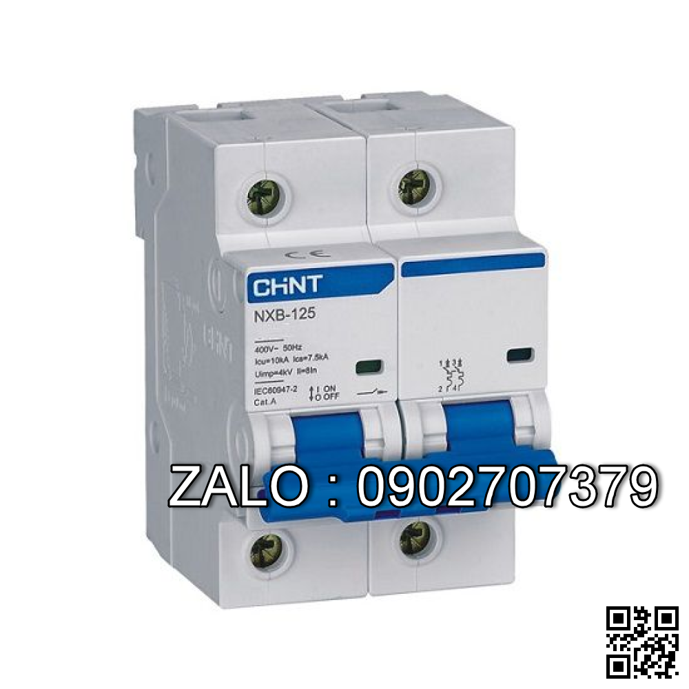 MCB Chint NXB-125 125A 10KA 2P