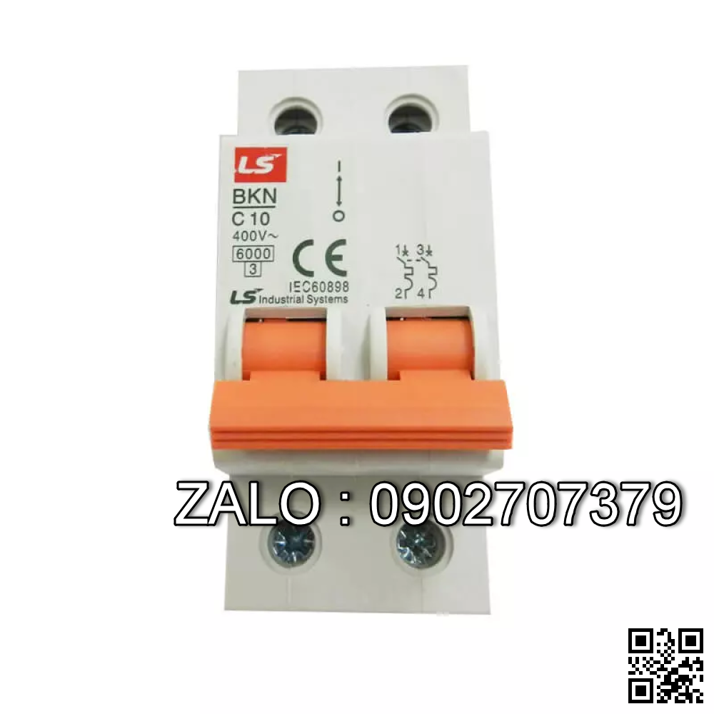 MCB LS 2 Cực 10 KA 125 A BKN-H-2P6125