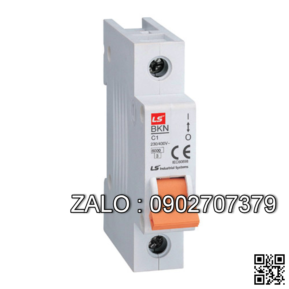 MCB LS 1 Cực 10 KA 125 A BKN-H-1P6125