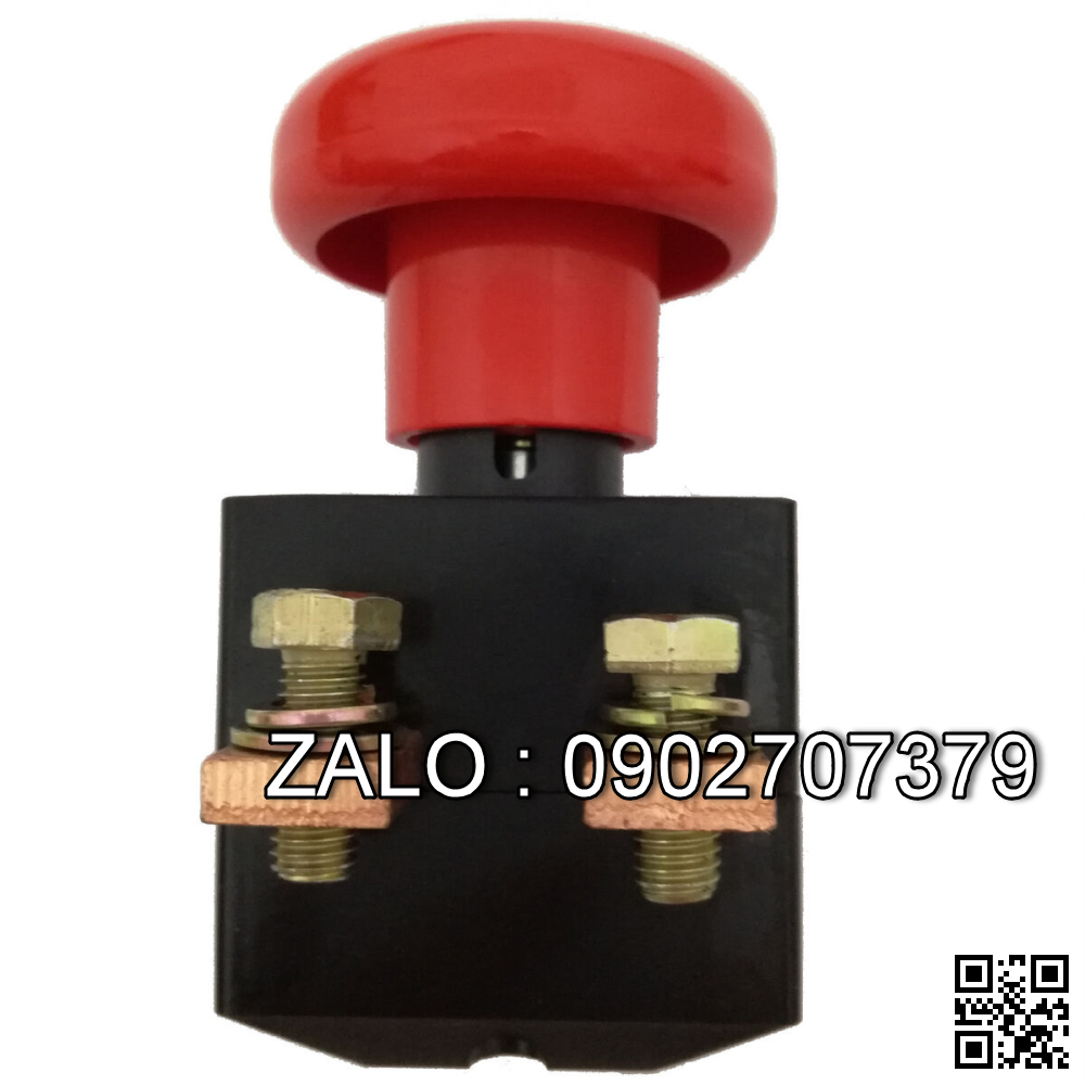 Công tắc khẩn 250A 220V ZDK31-250
