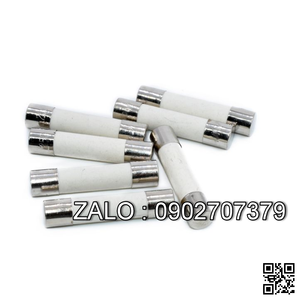 Cau chi ong su 5A/380V phi 10*38mm