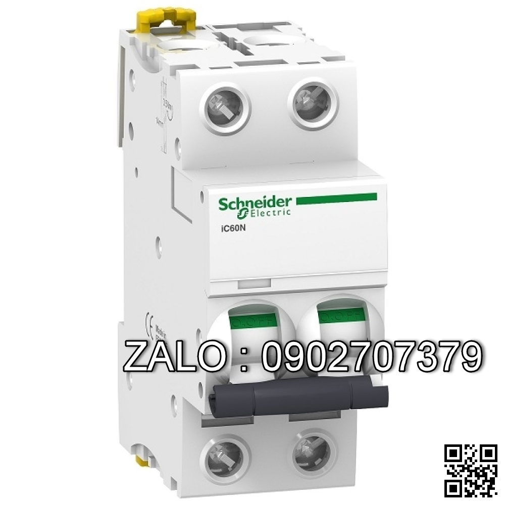 Cầu dao tự động A9F74206, 2P-6A