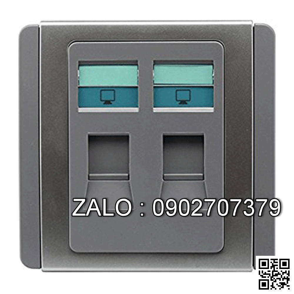 Bộ 2 ổ cắm mạng Clipsal / Schneider E3032RJ5E_GS_G19