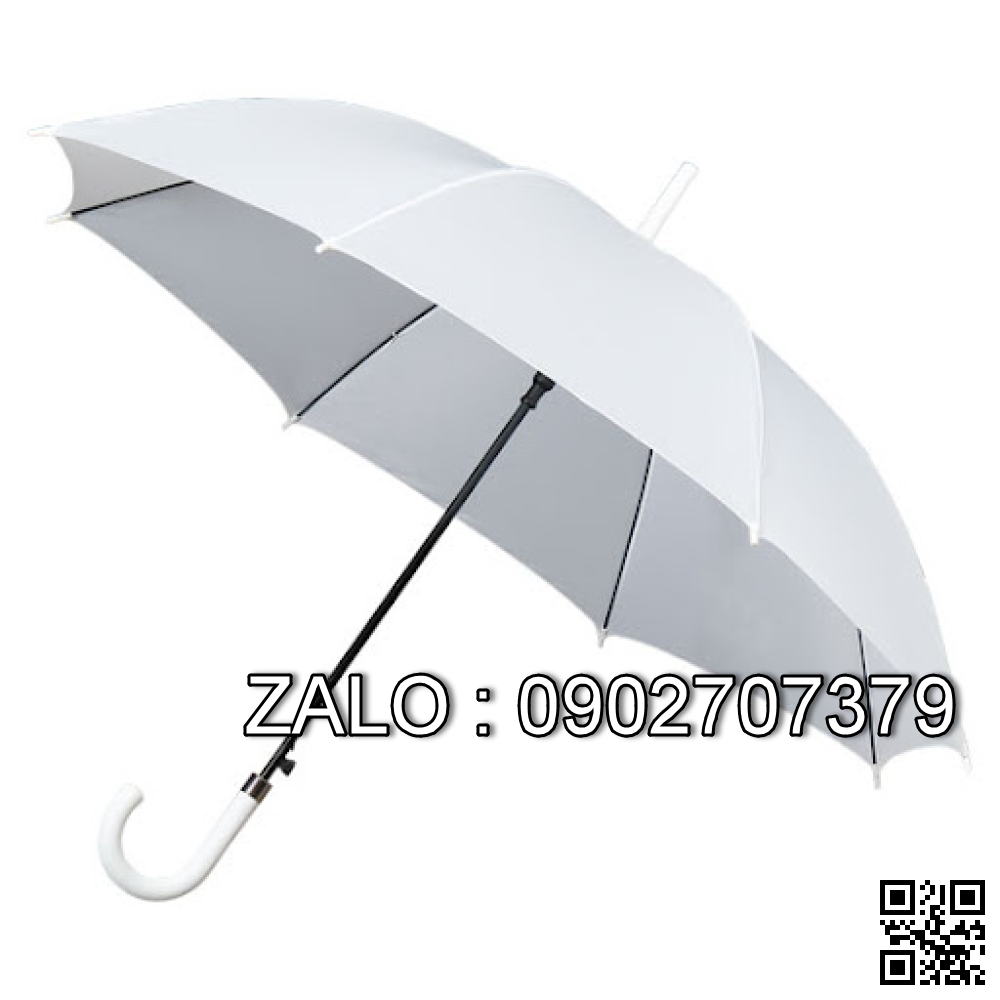 Cây Dù Trắng-Cây Dù Tơ