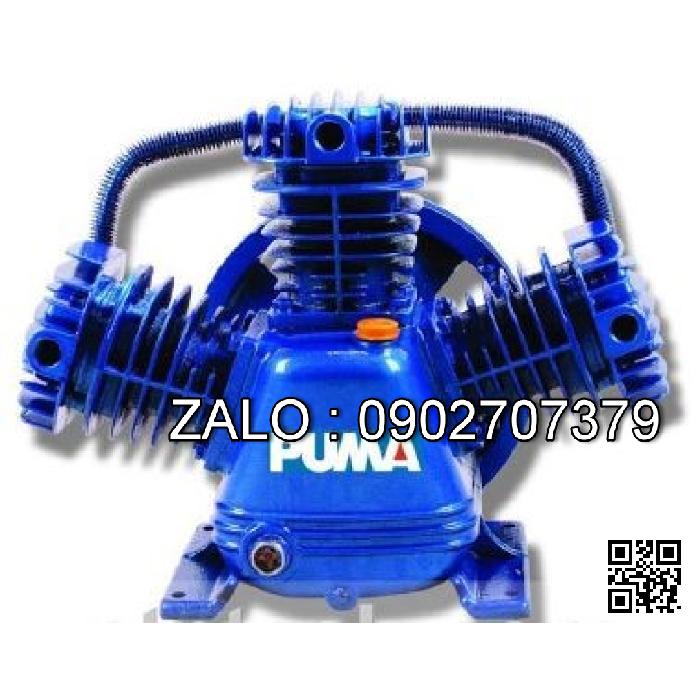 Đầu nén khí Puma PK-100 (10HP)