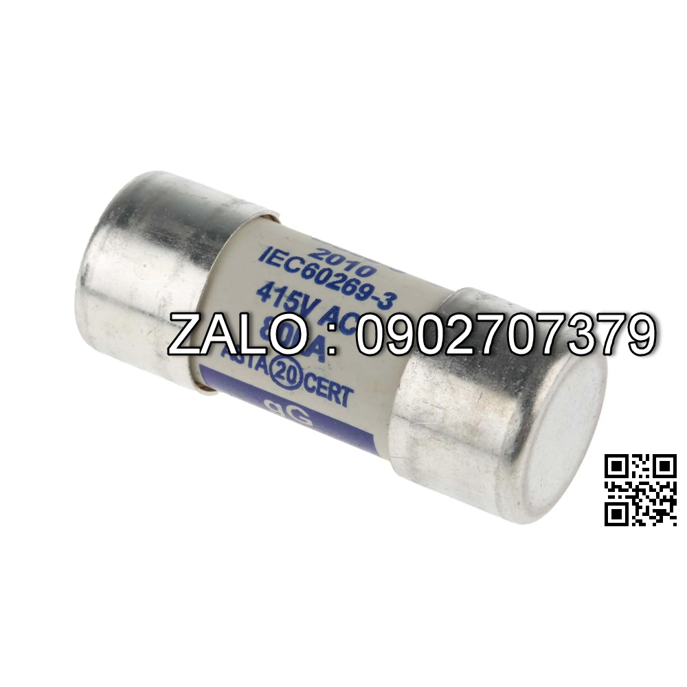 Fuse A22A2-40900D-80A-Y