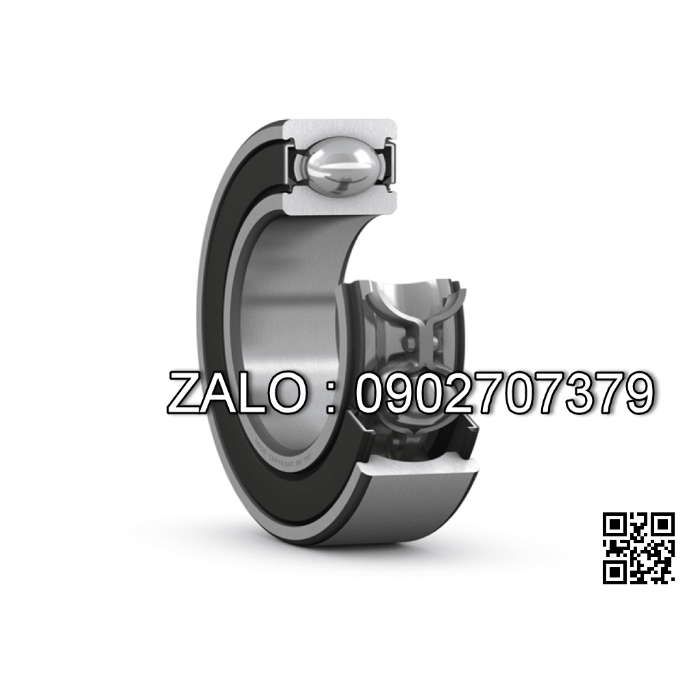 Bac dan 61805-2RS1