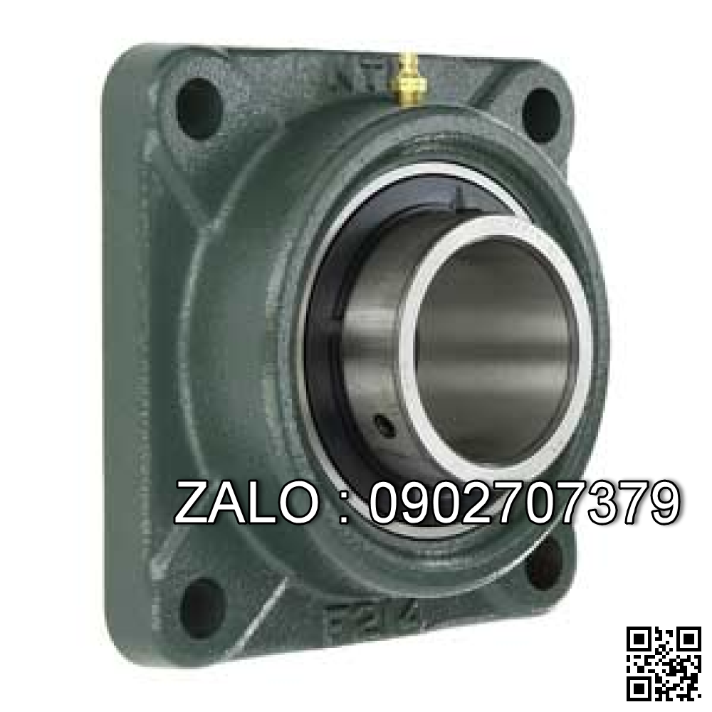 Bade F205 + Bạc đạn UC205, NSX: Asahi