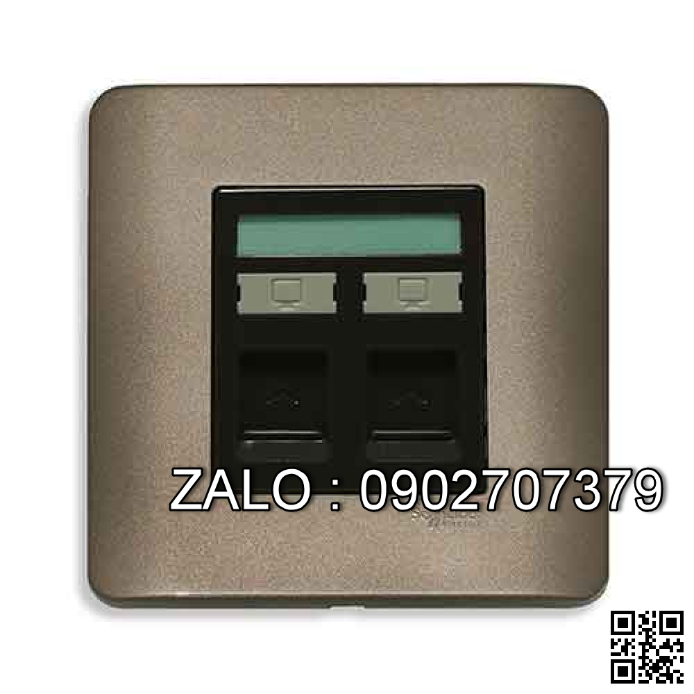 Bộ 2 ổ cắm mạng Clipsal / Schneider E8432RJS_6_SZ_G19
