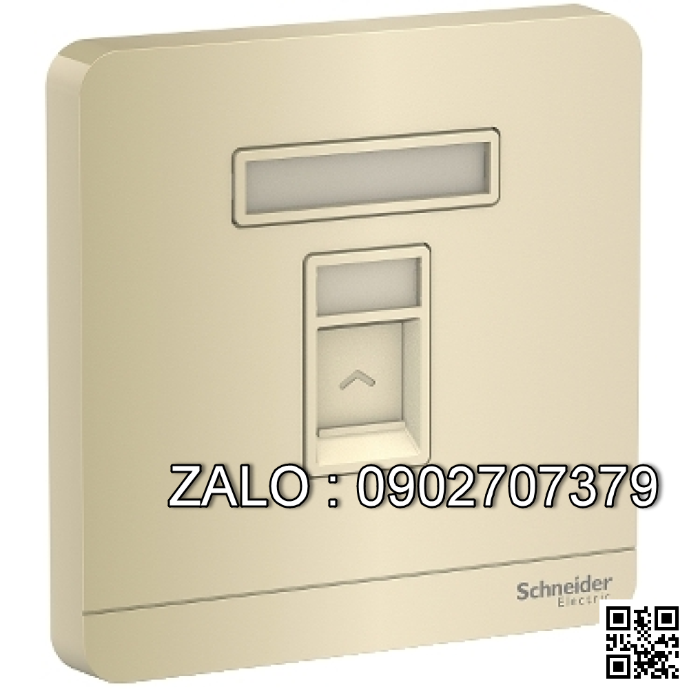Ổ cắm mạng Clipsal / Schneider E8331RJS5_WG_G19