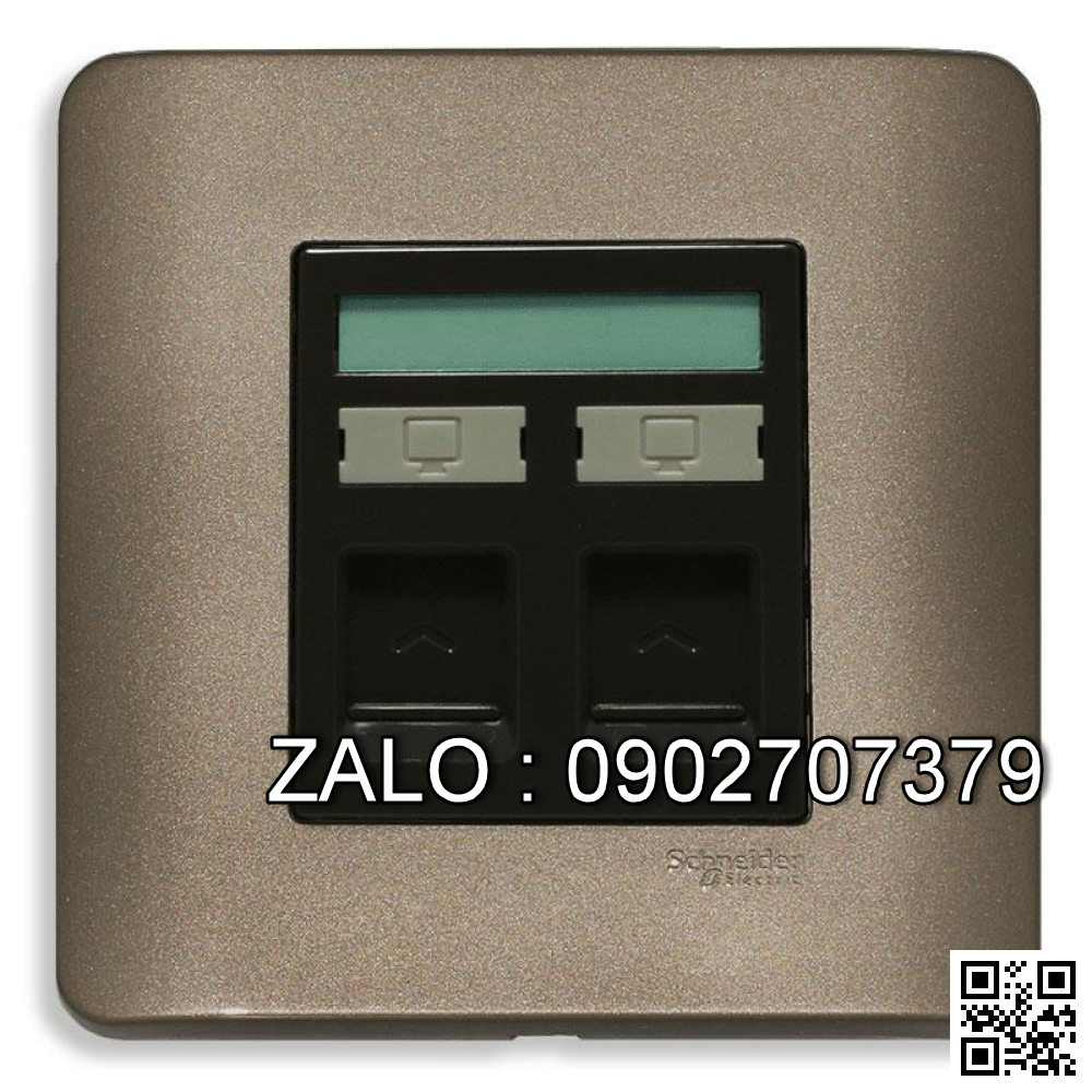 Bộ 2 ổ cắm mạng Clipsal / Schneider E8432RJS_5_SZ_G19