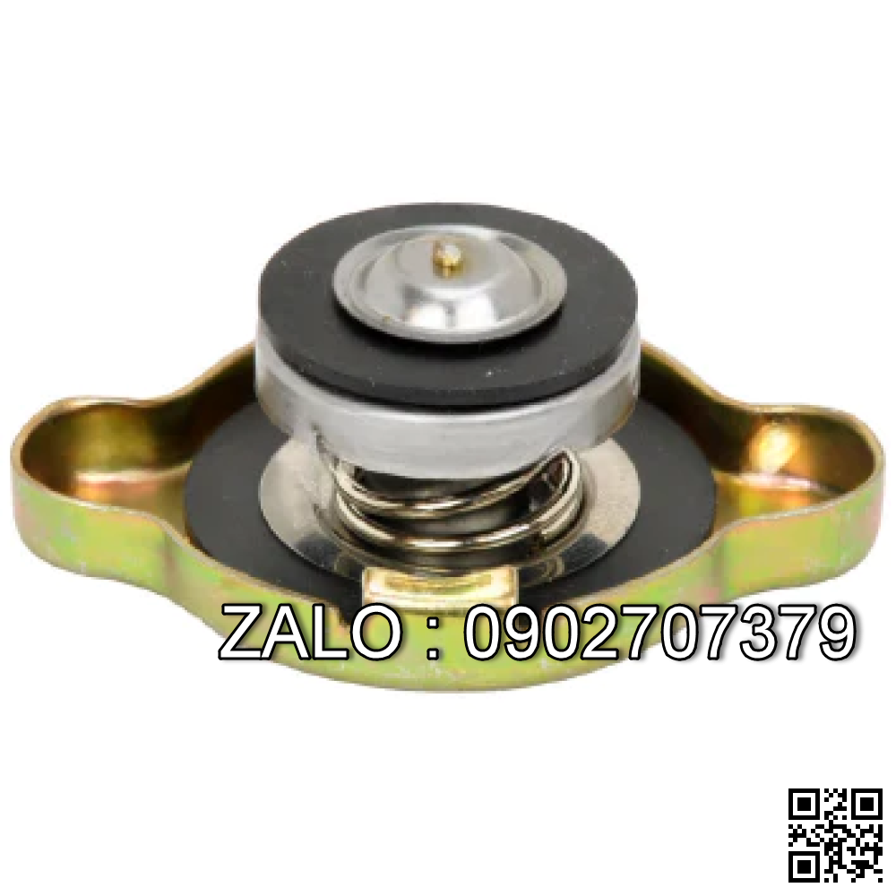 CAP-RADIATOR 7 PSI 3051035
