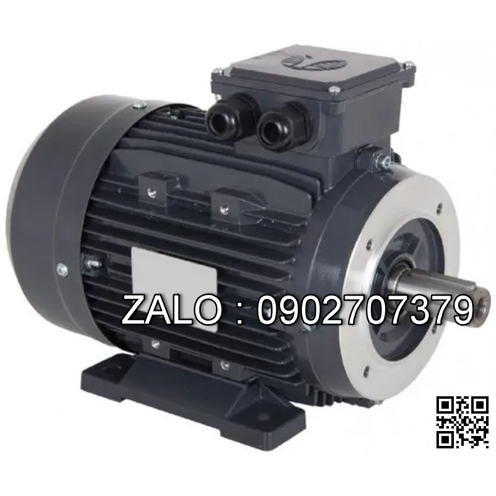 Motor giảm tốc Wanshsin 1/8HP 100W 18mm 5-50 ( Chân đế - mặt bích )