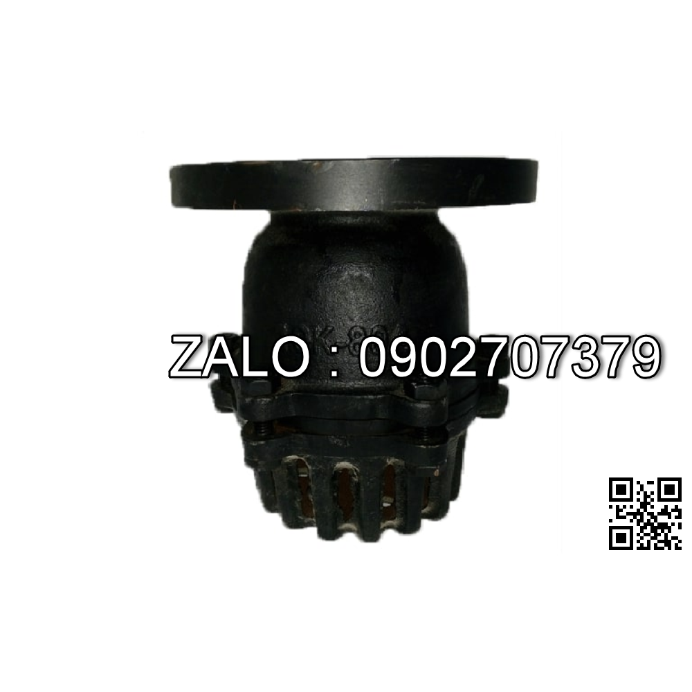 Rọ rôm mặt bích JIS 10K gang DN200