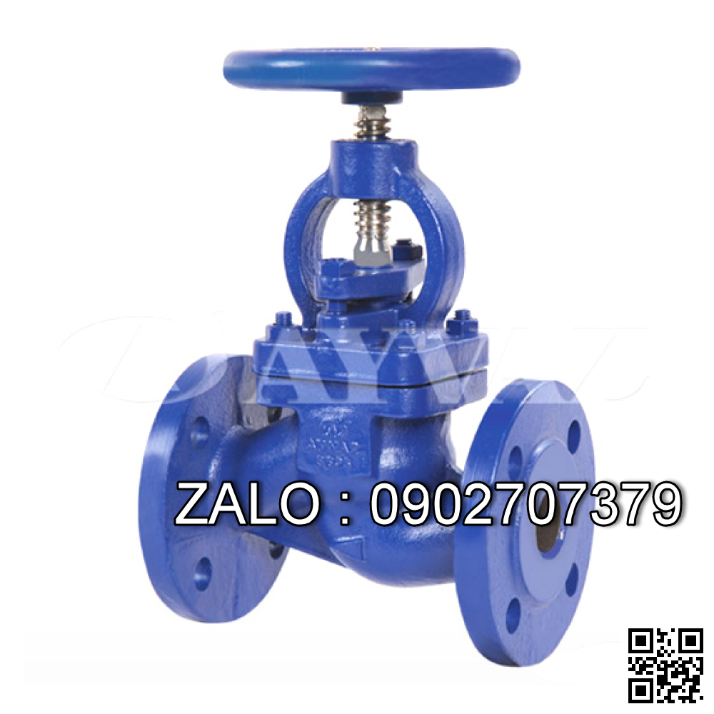 Van cầu hơi mặt bích PN16 gang DN25