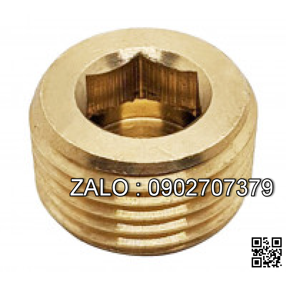 Ốc Nhét Nước Inox 304 DIN906 M14x1.5
