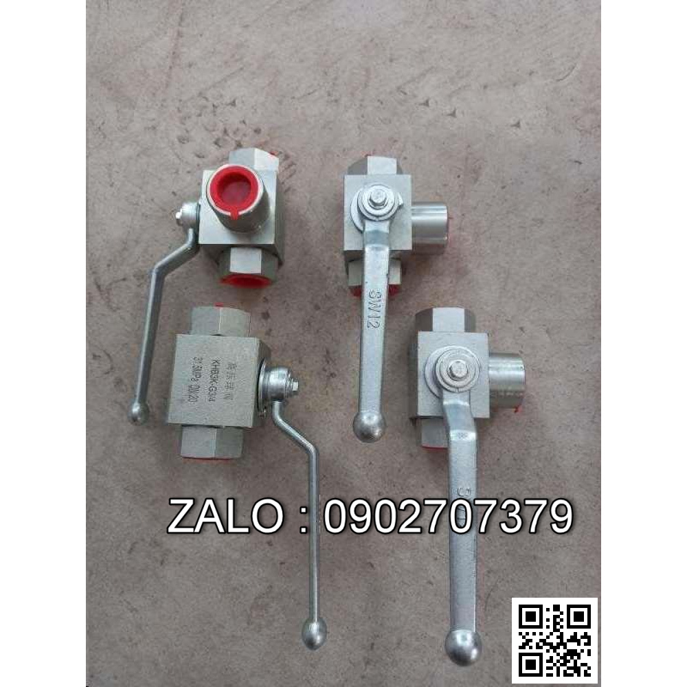 Van đảo chiều DSG-3C4-02